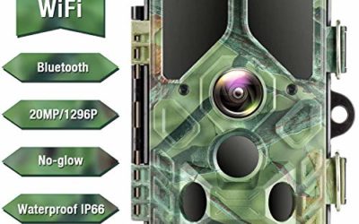 Campark WiFi Bluetooth Trail Camera 20MP 1296P Game Hunting Camera with 940nm IR LEDs No Glow Night Vision Motion Activated IP66 Waterproof for Monitoring Outdoor Wildlife Animal