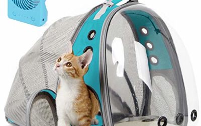 halinfer Expandable Cat Carrier Backpack, Space Capsule Bubble Transparent Clear Pet Carrier for Small Dog, Pet Carrying Hiking Traveling Backpack (Green, Expandable Back + Fan)