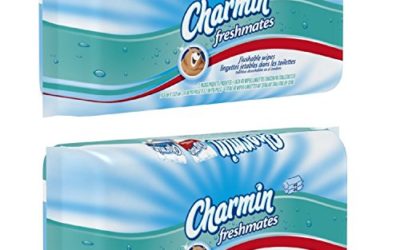 Charmin freshmates flushable 80 sheets 2pack