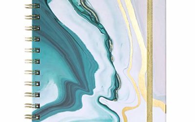 Planner 2021 – Weekly & Monthly Planner with Tabs, 6.5" x 8.5", Hardcover with Bonus Stickers + Thick Paper + Back Pocket + Banded, Twin-Wire Binding – Sea Blue