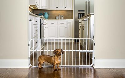 Carlson Lil Tuffy Metal Expandable Gate