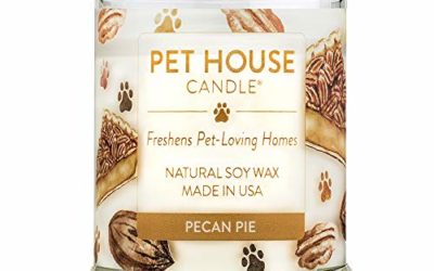 One Fur All 100% Natural Soy Wax, 20 Fragrances Odor Eliminator, Up to 60 Hours Burn Time, Non-Toxic, Eco-Friendly Reusable Glass Jar Scented Pet House Candle, Pecan P, Pack of 1, Pie, 612520694449