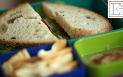 5 Lunchbox Ideas featuring Sandwiches! (Back-to-School Lunch Ideas)