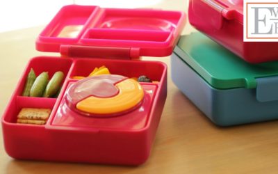 3 Lunchbox Ideas featuring Leftovers!