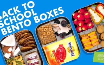 DIY Back To School Bento Snack Boxes! Easy Healthy Recipes!