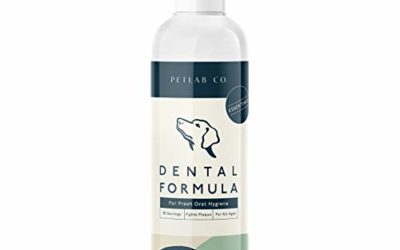 Petlab Co. Dental Formula Water Additive for Dogs | Targets Dog Plaque and Tartar Build-Up for Fresher Breath and Healthier Gums | Fresh Drinking Oral Hygiene Care (No Brush Required)