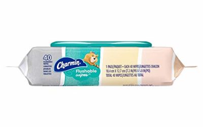 Charmin Freshmates Flushable Wipes with Refillable Tub (Pack of 2)