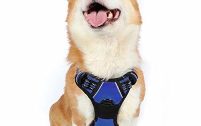 rabbitgoo Dog Harness,No-Pull Pet Harness with 2 Leash Clips,Adjustable Soft Padded Dog Vest,Reflective No-Choke Pet Oxford Vest with Easy Control Handle for Medium Dogs,Navy (M, Chest 19.1-29.3")