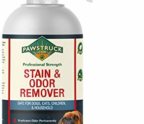 Professional Strength Stain & Odor Remover – Natural Enzyme Cleaner (Bulk 32oz) for Dog & Cat Urine, Waste, Wine, Blood, Vomit, etc. Safe & Effective Pet Smell Eliminator for Carpet, Hardwood & More