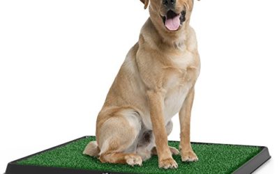 PETMAKERThe Indoor Restroom Puppy Potty Trainer for Pets, Medium, Green (80-ST2025)