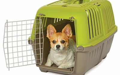 MidWest Homes for Pets Spree Travel Pet Carrier, Dog Carrier Features Easy Assembly and Not The Tedious Nut & Bolt Assembly of Competitors, Green, 24-Inch Small Dog Breeds (1424SPG)