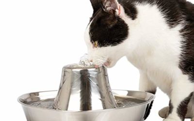 PetSafe Seaside Stainless Pet Fountain, 60 oz Water Capacity, Whisper-Quiet Design, Filtered Water, Encourages Pets to Drink More Water