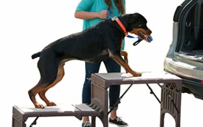 Pet Gear Free Standing Ramp for Cats and Dogs. Great for SUV’s or use Next to your Bed. 4 Models to Choose from, Supports 200-300 lbs, Lightweight Easy-Fold Design, Carpeted – Up to 350 pounds