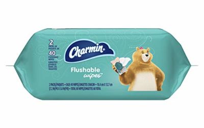 Charmin Flushable Wipes, 80 Total Wipes, 40 Count (Pack of 2)