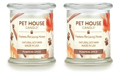 One Fur All – 100% Natural Soy Wax Candle – Pet Odor Eliminator, Up to 60 Hours Burn Time, Non-Toxic, Eco-Friendly Reusable Glass Jar Scented Candles – Pumpkin Spice – Pack of 2