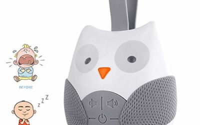 Baby Sleep Soother Shusher Owl White Noise Sound Machine Portable Infant Sleep Music Box with Auto-Timer for Traveling Sleeping & Baby Carrige