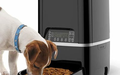 Automatic Pet Feeder | Auto Cat Dog Timed Programmable Food Dispenser Feeder for Medium Small Pet Puppy Kitten – Portion Control Up to 4 Meals/Day,Voice Recording,Battery and Plug-in Power 6.5L(Black)