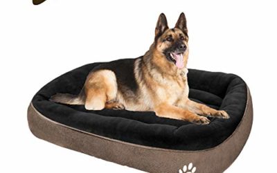 CLOUDZONE Dog Bed for Medium Dogs/Large/Small, Washable Rectangle Pet Bed Thickened Enough with Soft Coral Fleece and Non-Slip Bottom