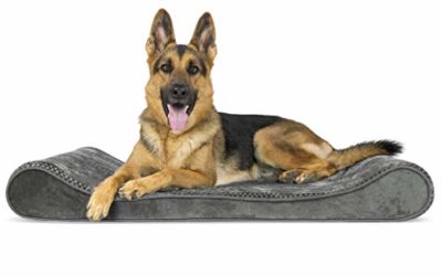 Furhaven Pet Dog Bed – Orthopedic Minky Plush and Velvet Ergonomic Luxe Lounger Cradle Mattress Contour Pet Bed with Removable Cover for Dogs and Cats, Gray, Jumbo