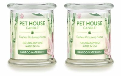 One Fur All 100% Natural Soy Wax Candle, 20 Fragrances – Pet Odor Eliminator, Up to 60 Hours Burn Time, Non-Toxic, Reusable Glass Jar Scented Candles – Pet House Candle, Bamboo Watermint – Pack of 2
