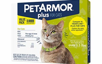 PetArmor Plus for Cats, Flea & Tick Prevention for Cats (Over 1.5 lb), Includes 6 Month Supply of Topical Flea Treatments