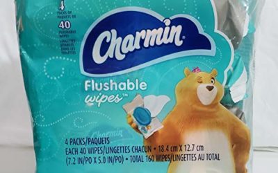 Charmin Freshmates Flushable Wipes Triple Pack Refills, 160 Count