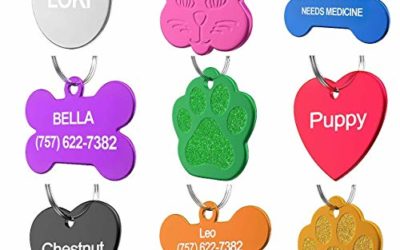 Dr. Fremont's Pet ID Tag Custom for Dog Cat Personalized | Many Shapes and Colors to Choose from | Made in USA | Strong Anodized Aluminum (Heart Pink, Small)