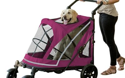 Pet Gear NO-ZIP Stroller, Push Button Zipperless Dual Entry, for Single or Multiple Dogs/Cats, Pet Can Easily Walk In/Out, No Need to Lift Pet, Boysenberry, Expedition