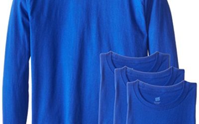 Hanes Men's 4 Pack Long Sleeve Comfortsoft T-Shirt, Deep Royal, X-Large
