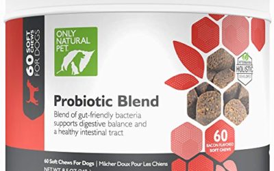 Only Natural Pet Probiotic Dog & Cat Supplement – Digestive Intestinal Tract Health Enzyme Formula – 60 Soft Chews