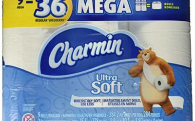 Charmin Mega Rolls, 9 Count of 284 Sheets Per Roll