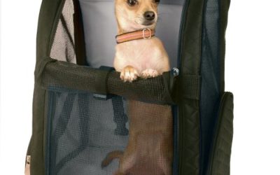 Snoozer Roll Around 4-in-1 Pet Carrier, Black, Large