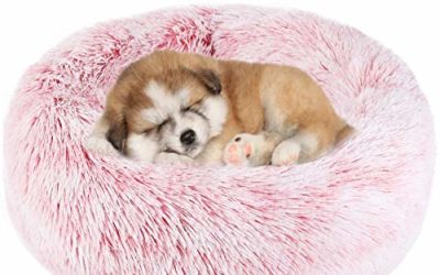 NOYAL Donut Dog Cat Bed, Soft Plush Pet Cushion, Anti-Slip Machine Washable Self-Warming Pet Bed – Improved Sleep for Cats Small Medium Dogs (Multiple Sizes)