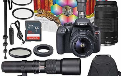 Canon EOS Rebel T6 DSLR Camera with 18-55mm & 75-300mm Lenses Kit + 500mm Preset Wildlife Lens – Deluxe Professional Photo & Video Creative Bundle