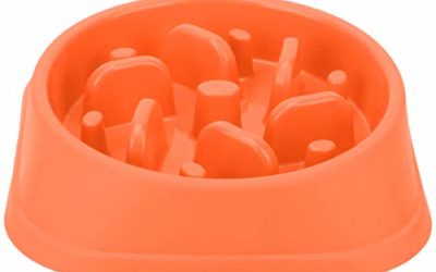 NOYAL Dog Slow Feeder Bowl, Non Slip Puzzle Bowl – Anti-Gulping Pet Slower Food Feeding Dishes – Interactive Bloat Stop Dog Bowls – Durable Preventing Choking Healthy Design Dogs Bowl