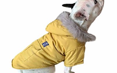 PetBoBo Cat Dog Doggie Down Jacket Hoodie Coat Pet Clothes Warm Clothing for Small Dogs Winter (M, Yellow)