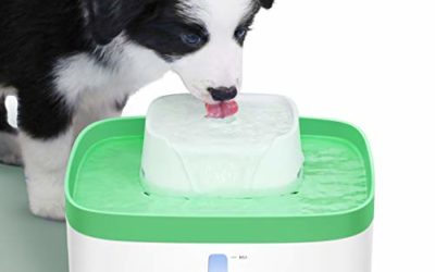 Veken 100oz/3L Pet Fountain, Automatic Cat Water Fountain Dog Water Fountain with LED Lights, 3 Replacement Filters for Cats, Dogs, Multiple Pets (Tender Green)