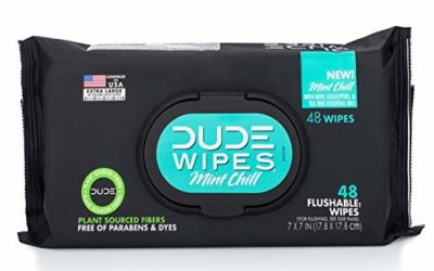 DUDE Wipes Flushable Wipes Dispenser, Mint Chill, 48Count – Scented Wet Wipes with Vitamin-E, Aloe, Eucalyptus & Tea Tree Oils for at-Home Use, Septic & Sewer Safe, Pack of 1