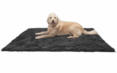Furhaven Pet Dog Mat – Muddy Paws Absorbent Chenille Shammy Bath Towel and Food Mat Rug for Dogs and Cats, Charcoal (Gray), Jumbo Plus