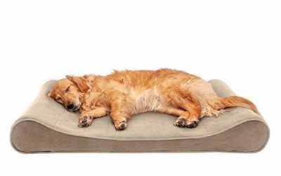 Furhaven Pet Dog Bed – Memory Foam Micro Velvet Ergonomic Luxe Lounger Cradle Mattress Contour Pet Bed with Removable Cover for Dogs and Cats, Clay, Jumbo