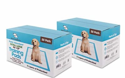 Best Pet Supplies XLT-100 36" x 28" Puppy Traning Pads for Large Breeds, Pack of 100, Blue (X-Large)