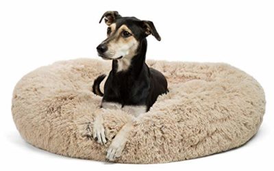 Best Friends by Sheri Calming Shag Vegan Fur Donut Cuddler, Self-warming Removable and Washable Shell for Pets up to 100 lbs (Taupe, Large 36×36")