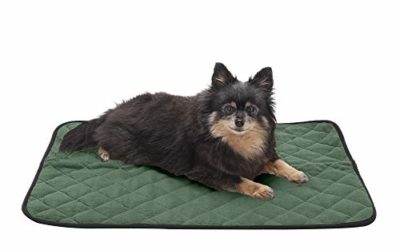 Furhaven Pet Dog Bed Heating Pad – ThermaNAP Quilted Plush Velvet Insulated Thermal Self-Warming Pet Bed Mat for Dogs and Cats, Moss, Small