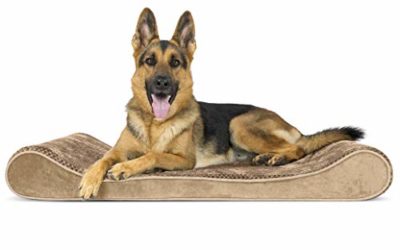 Furhaven Pet Dog Bed – Orthopedic Minky Plush and Velvet Ergonomic Luxe Lounger Cradle Mattress Contour Pet Bed with Removable Cover for Dogs and Cats, Camel, Jumbo