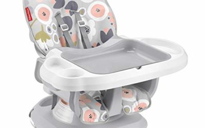 Fisher-Price SpaceSaver High Chair