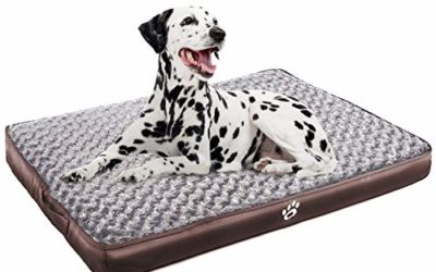 CLOUDZONE Orthopedic Dog Bed | Pet Bed Mattress with Removable Zipper Covers | Washable Dog Bed for Small/Medium/Large Dogs(XL/XXL/XXL)|Dog Crate Bed with Lining and Non-Slip Bottom