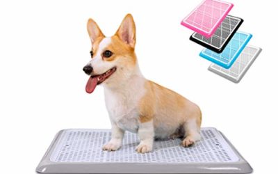 Pet Awesome Dog Potty Tray / Pee Pad Holder (25”x20”) for Small and Medium Dogs