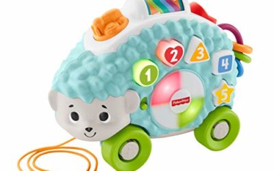 Fisher-Price Linkimals Happy Shapes Hedgehog – Interactive Educational Toy with Music and Lights for Baby Ages 9 Months & Up, Multi Color