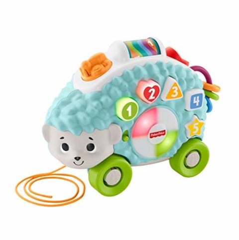 linkimals hedgehog asda