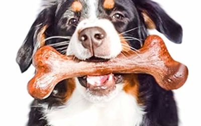 Pet Qwerks Extreme Dinosaur BarkBone Steak Flavor – Tough Chew Toy for Extremely Aggressive Chewers, Durable Indestructible Bone | Made in USA Premium Nylon – XXXLarge for Large Breed Dogs